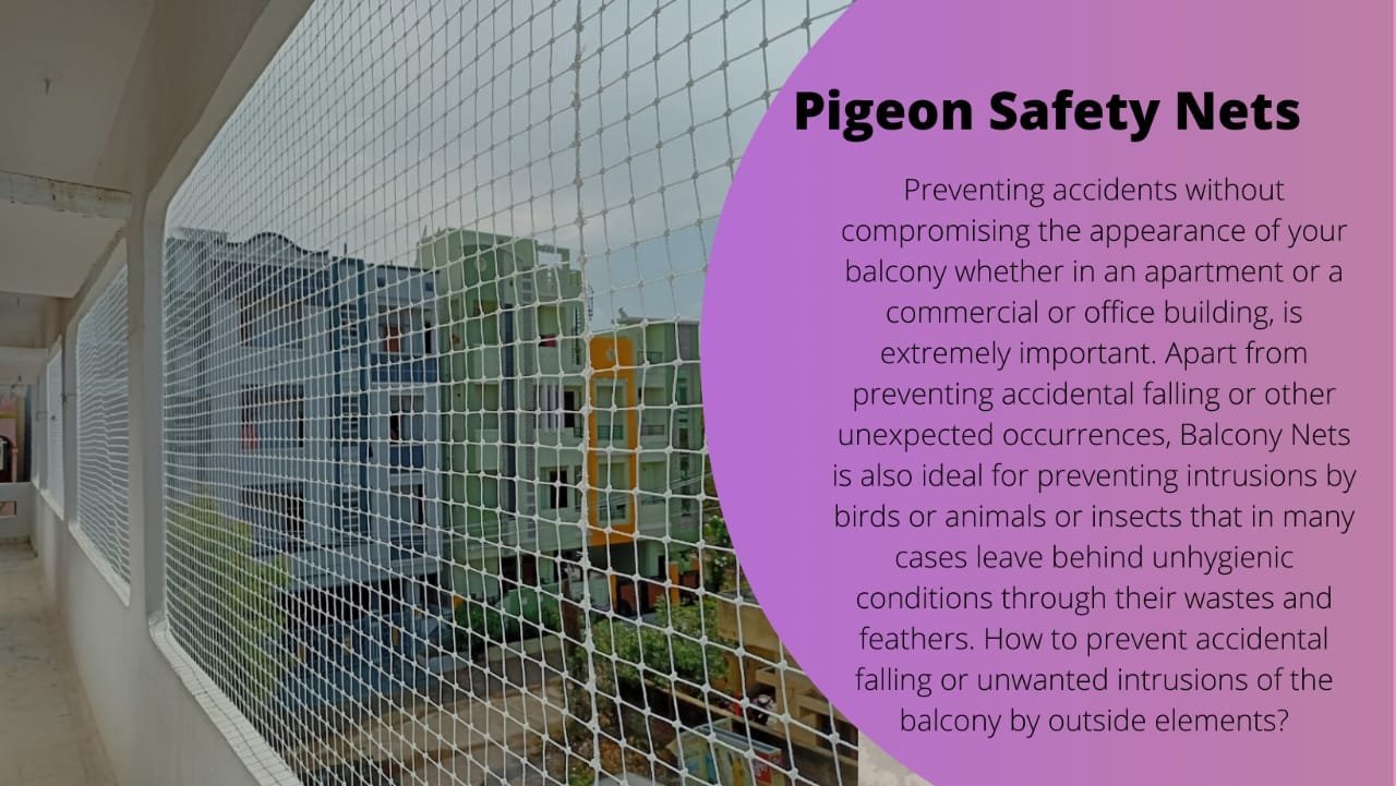 Pigeon-Safety-Nets.jpeg