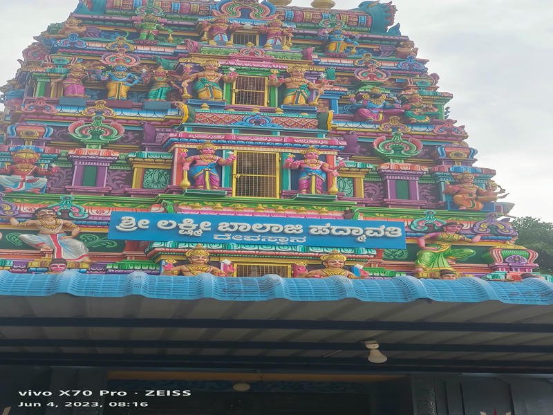 Temple Nets